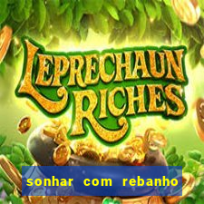 sonhar com rebanho de gado jogo do bicho